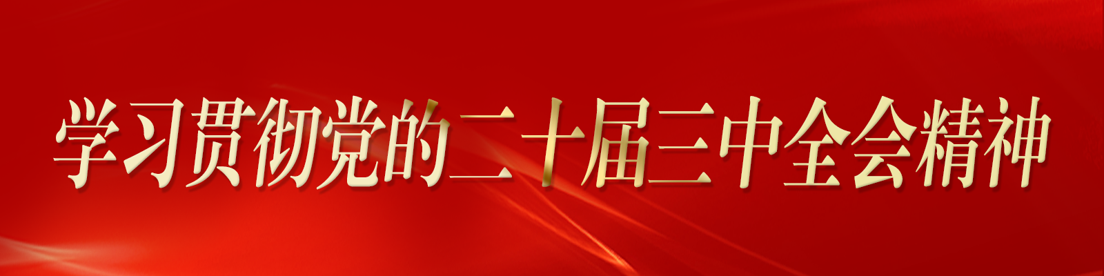 黨的二十屆三中全會(huì)精神專欄